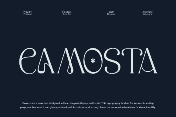 Elevating Visual Identity: The Strategic Application of Camosta in Modern Design