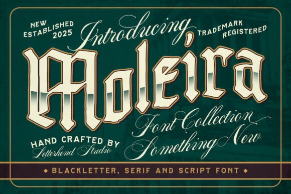 Exploring the Elegance and Versatility of the Moleira Font Collection