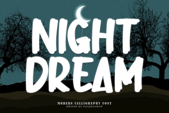 Night Dream: Integrating Playful Display Typography into Professional Workflows